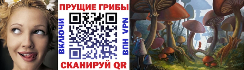 Купить где  Светогорск  Псилоцибиновые грибы MAGIC MUSHROOMS 